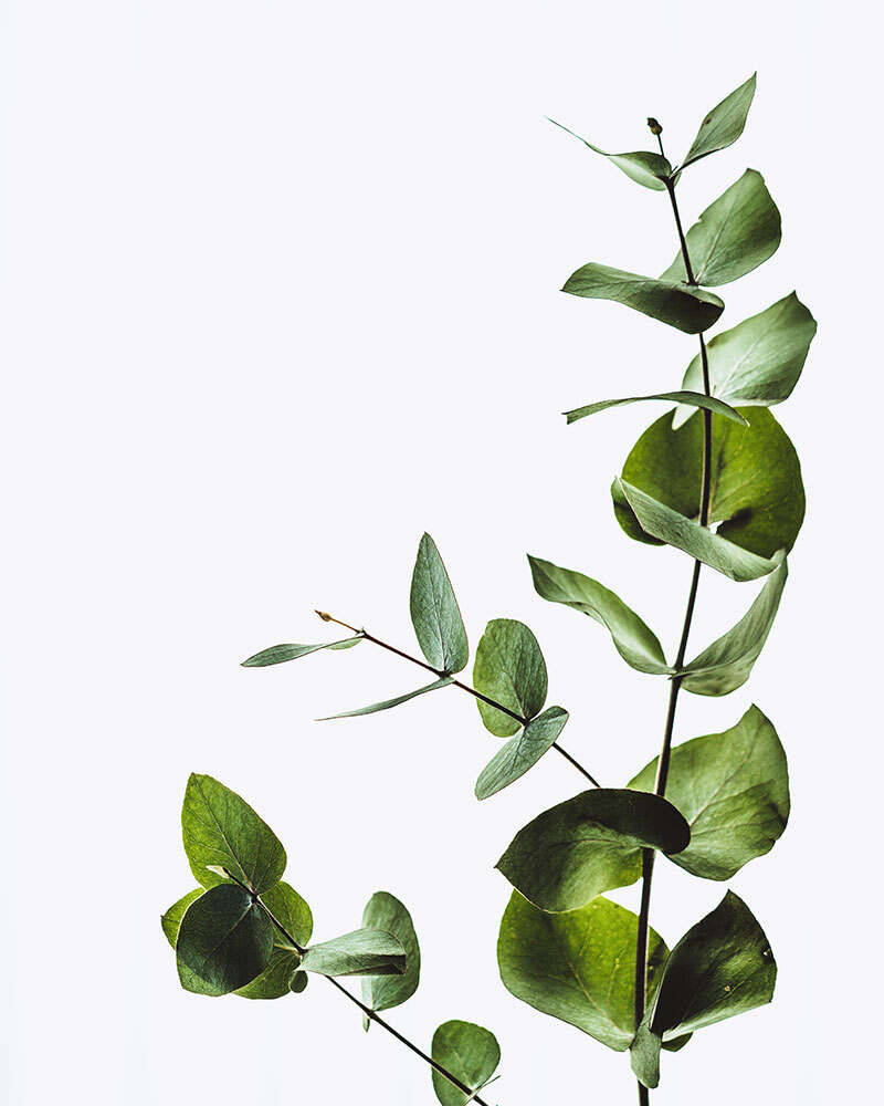 Creamy Baked Chicken Thigh